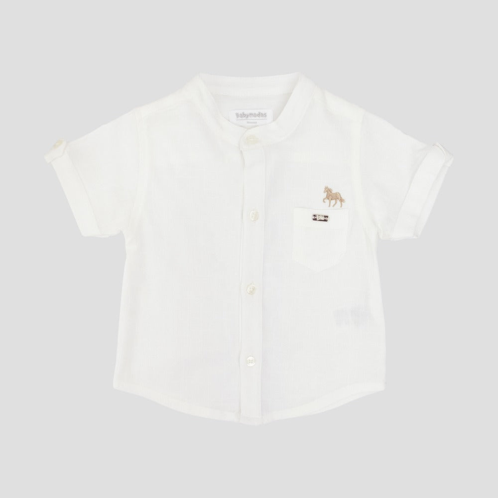 Conjunto Danny - Arena