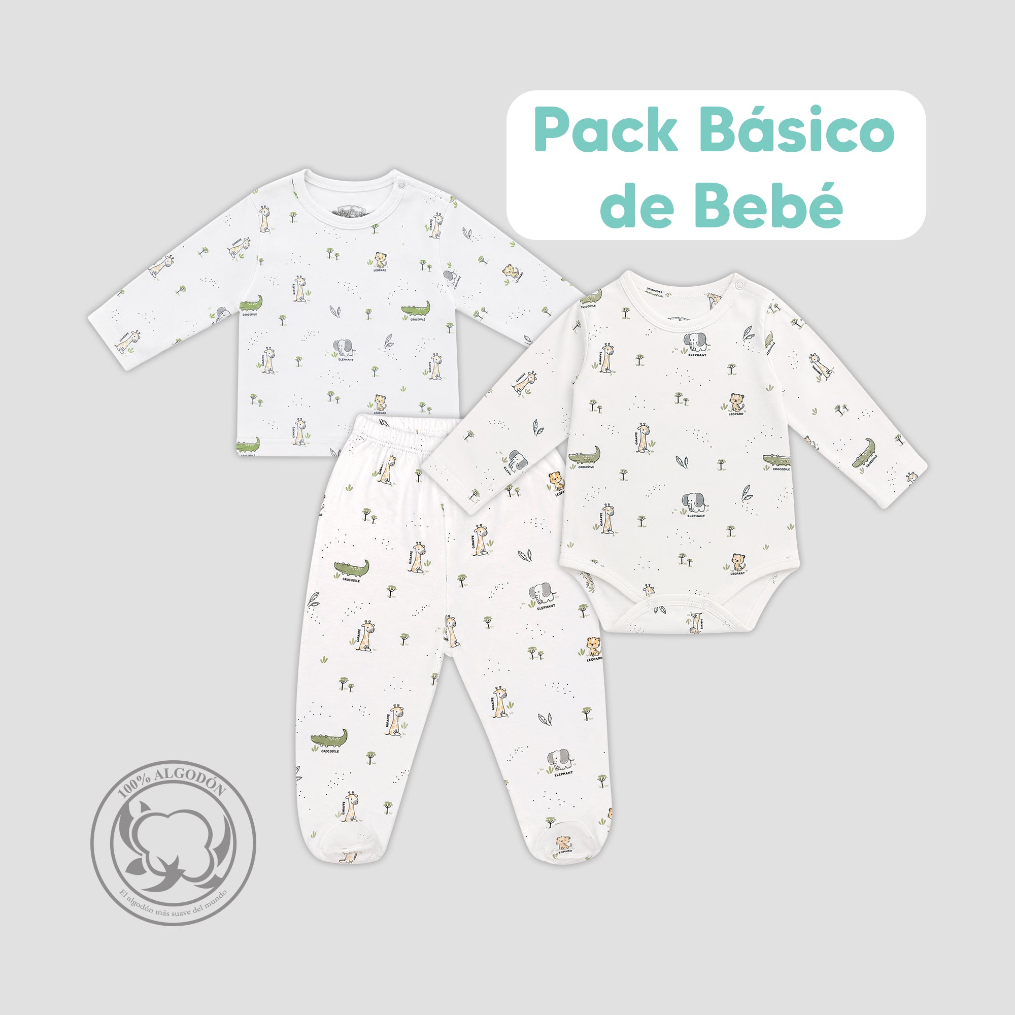 Pack Safari ML