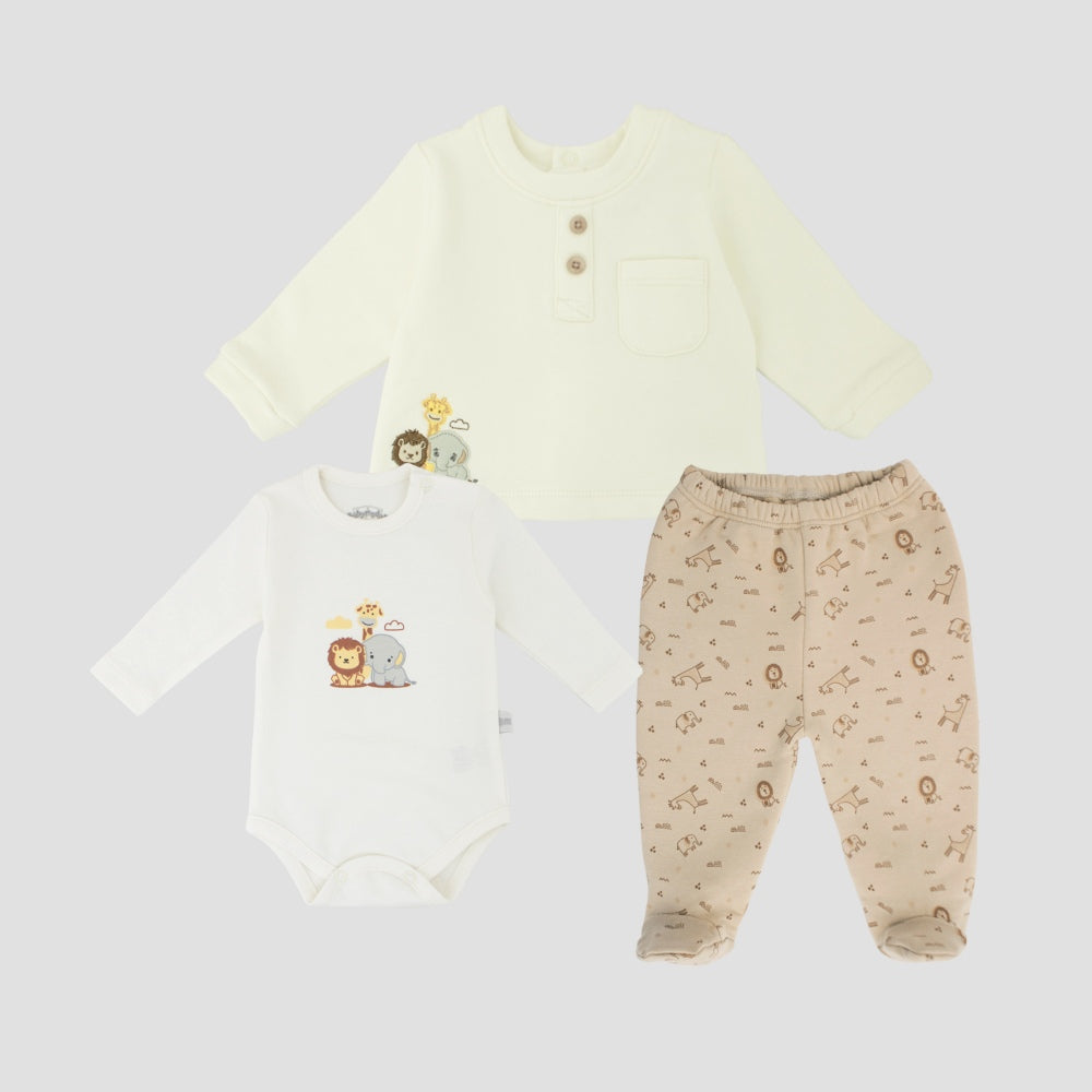 Set Harry 3M